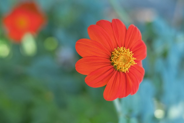 的提前上演 的提前上演