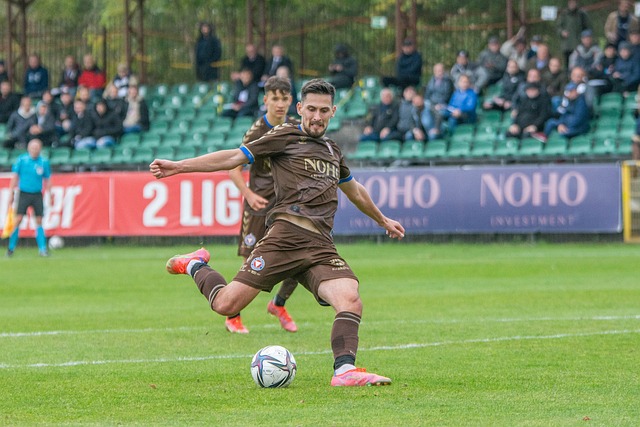 影响到羊群 影响到羊群