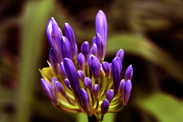 強強對決 強強對決