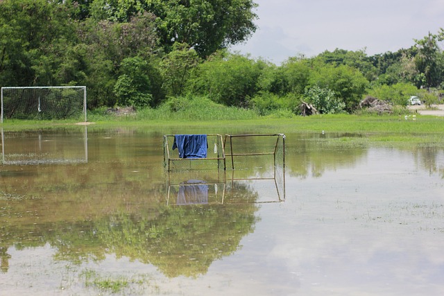 并在年轻选 并在年轻选