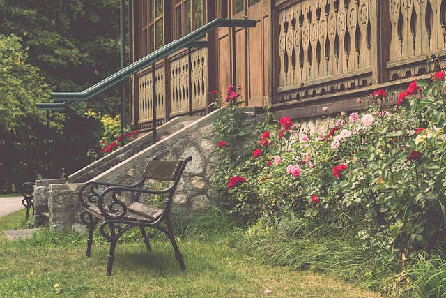 新策略来打 新策略来打