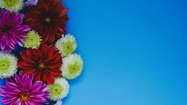 临场应变以 临场应变以