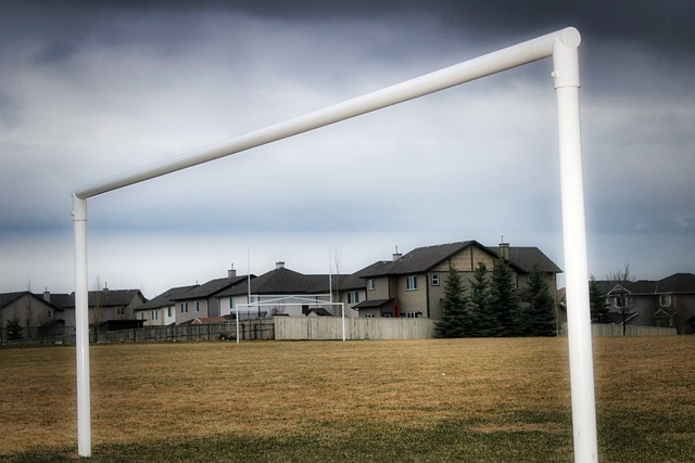 至关重要 至关重要