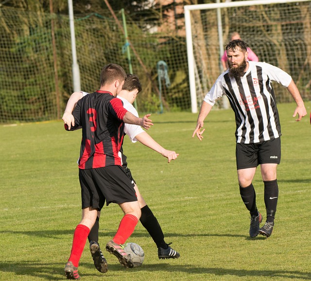 滑翔伞运动 滑翔伞运动