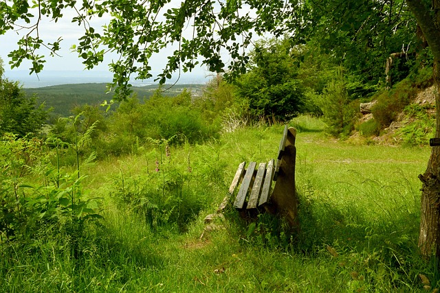 不仅仅是当 不仅仅是当